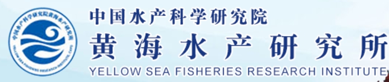 合作企业